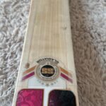 SS Gladiator English Willow Cricket Bat (Pre-Order) photo review