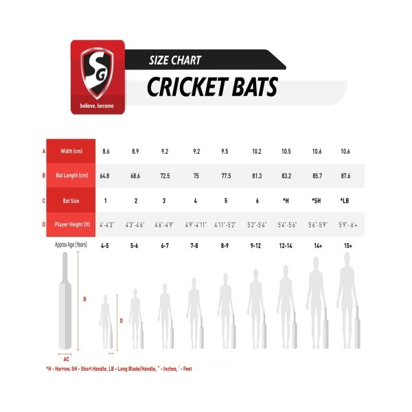 Cricket_Bat.jpg