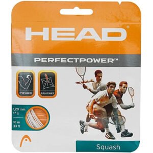 HEAD Perfect Power Squash String - 17 Guage - White